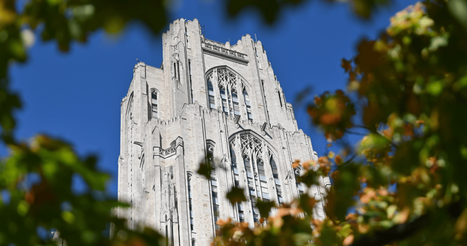 Cathedral of Learning through the trees.